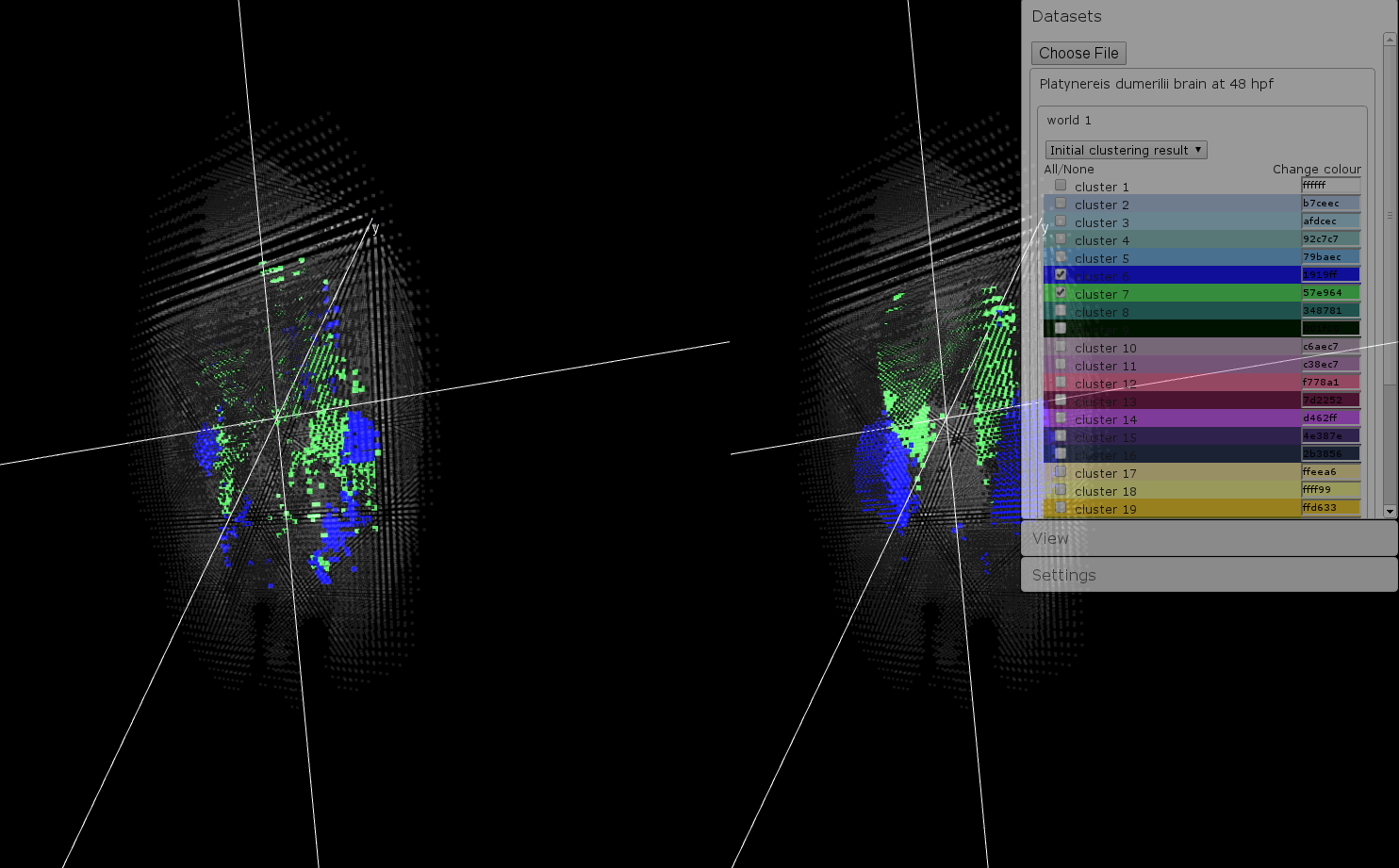 Plateynereis dumerilii's brain Plateynereis dumerilii's brain